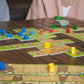 Carcassonne New Edition